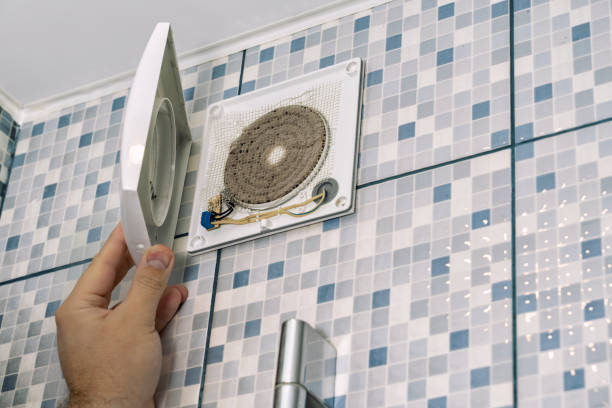 Best Ductwork Cleaning Services  in Roanoke, IL