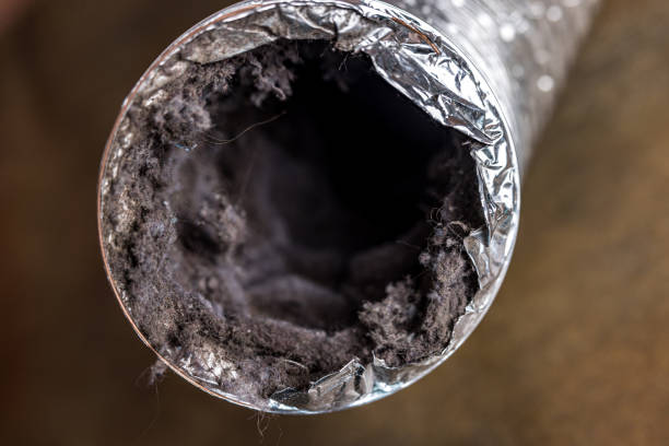 Best General Air Duct Cleaning  in Roanoke, IL