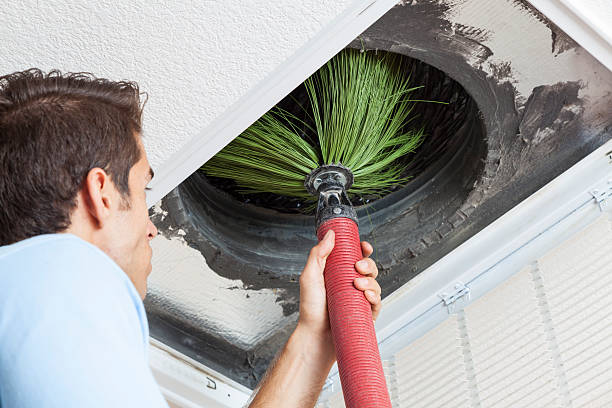 Best Professional Duct Cleaning Services  in Roanoke, IL