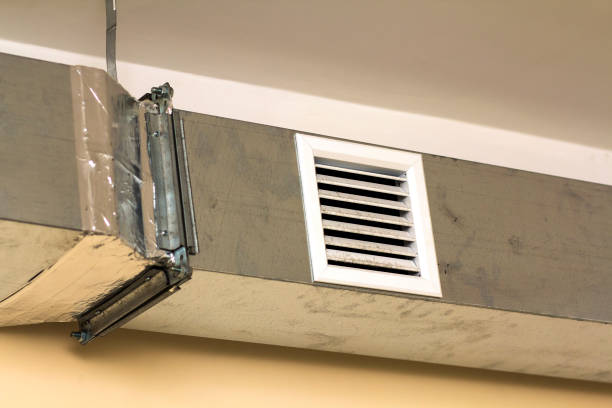 Best Residential Air Duct Cleaning  in Roanoke, IL